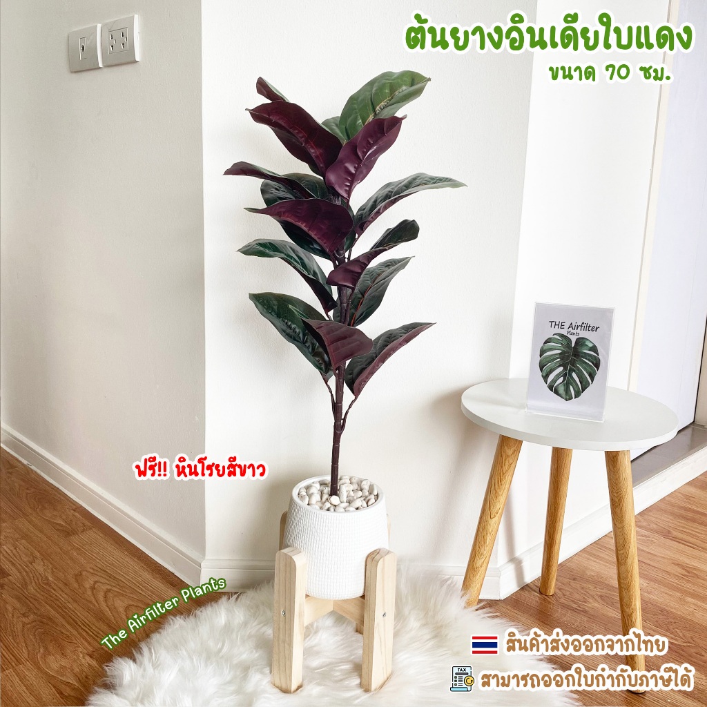 ต้นไม้ปลอม(ฟรี!!หินโรย) ต้นยางอินเดียใบแดงสูง70-78ซม. ตั้งพื้นและหัวเตียง ต้นไม้มงคล พร้อมกระถางและหินสีขาว