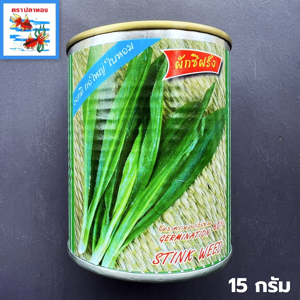 เมล็ดผักชีผรั่ง ผักชีใบเลื่อย หอมเป กระป๋อง ขนาด 15 กรัม ตราปลาทอง