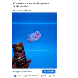 (แถม 20%)อาหารปลาหมอสี CZ 3in1 มี 3 สูตร 3in1 โหนก มุก สี กัมฟาแดง 3in1 กัมฟาทูโทน 3in1 ฟาวเวอร์ฮอร์น