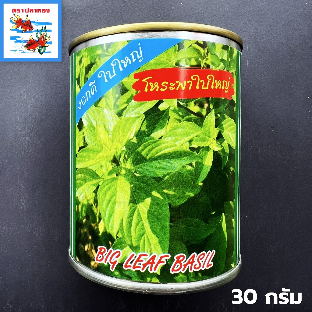 เมล็ดโหระพาใบใหญ่ แตกกอดี ใบใหญ่กว่าทั่วไป กระป๋อง ขนาด 30 กรัม ตราปลาทอง