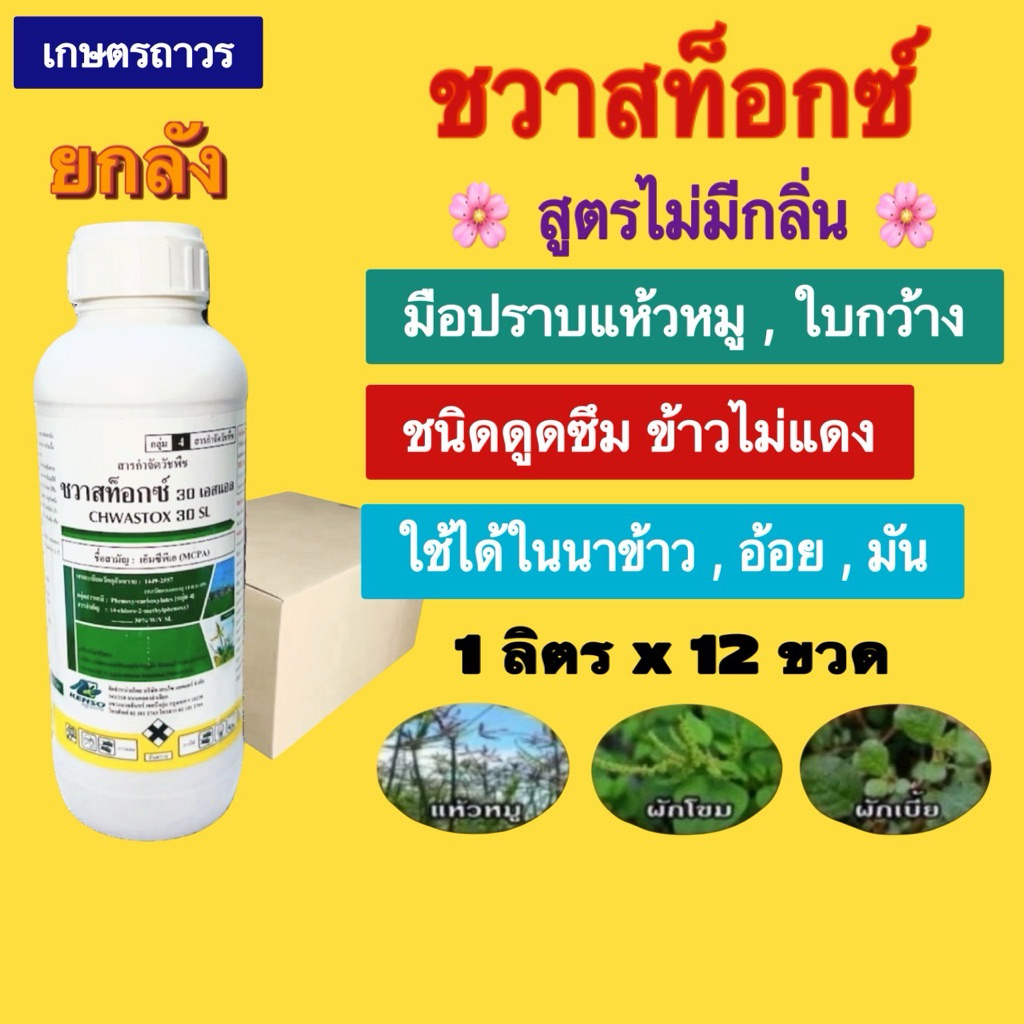 ชวาสท็อกซ์ 🔥🔥ยกลัง (12 ขวด) (กดออเดอร์แค่1ลังนะคะ) สูตรไม่มีกลิ่น กำจัด วัชพืชประเภท กก แห้วหมู หนวดแมว และหนวดปลาดุก