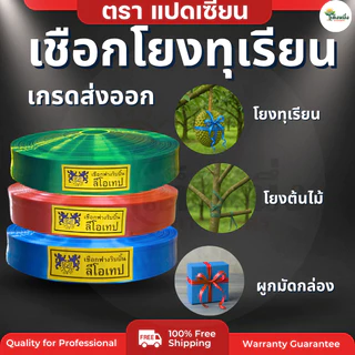 ตราแปดเซียน เชือกโยงทุเรียน (ส่งคละสี-ไม่สามารถเลือกสีได้) โยงกิ่งไม้ โยงต้นไม้ ค้ำกล้วย ริบบิ้นการเกษตร คละสี 500g