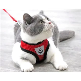 สายจูงแมวรัดอก จูงหมา สําหรับสัตว์เลี้ยง สุนัข แมว กระต่าย ขนาดเล็ก เสื้อจูงแมว ผ้าตาข่าย พร้อมสายจูง บสัตว์เลี้ยง