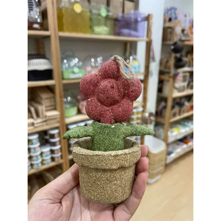 แทะ ลับฟัน ของตกแต่งกรงลับฟันได้รวมหลายยี่ห้อ carno rodizoo ป่าสน ต้นสน ลูกโอ๊ค ดอกไม้ น้ำพุ กระบองเพชร ลูกประคำ