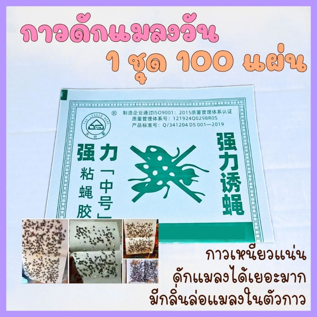ชุด 100 แผ่น ของแท้! กาวดักแมลงวัน ชนิดแผ่นกระดาษ รุ่นแผ่นเขียว กาวเหนียวไม่เยิ้ม กระดาษกาวดักแมลงวัน กาวดักแมลง
