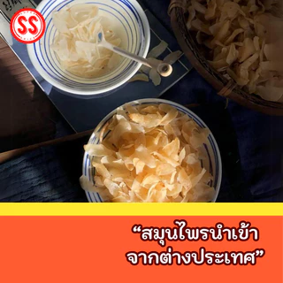 แปะฮะ|百合|Lily Bulb Bai He by SS(Super Spice) เกรดพรีเมียม