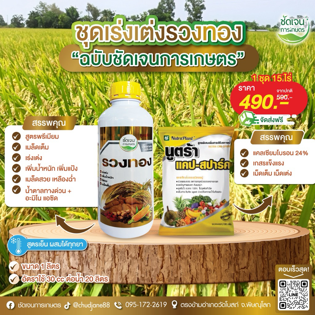 ชุดเร่งเต่งรวงทอง ฮอร์โมนระยะรับท้อง รับรวง ไล่ก้มครบจบ เพิ่มน้ำหนัก แต่งสี เกสรแข็งแรง 1 ชุด 15 ไร่