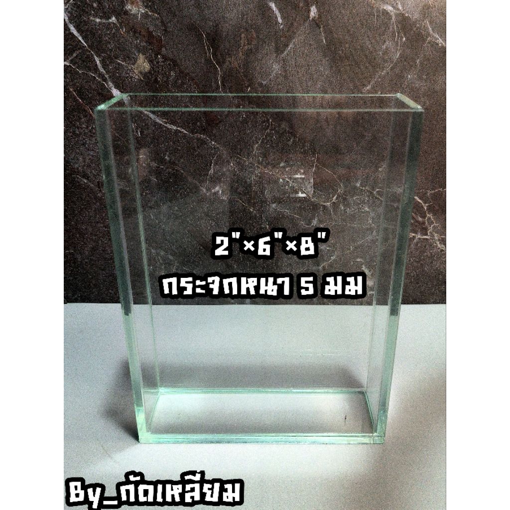 โหลถ่ายรูปปลากัด 2