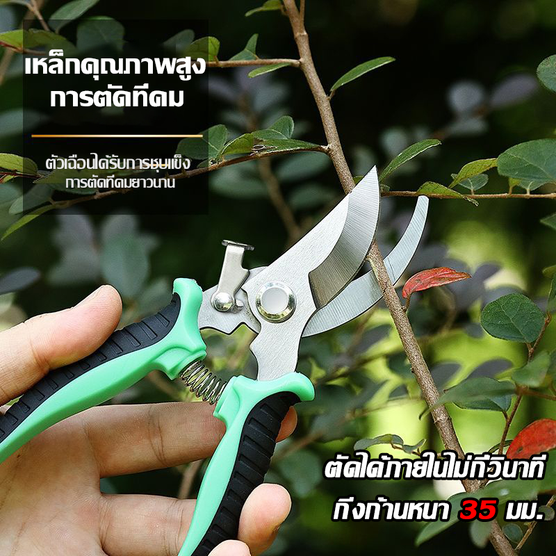 อเนกประสงค์ SK5 กรรไกรตัดกิ่งไม้ กรรไกรแต่งกิ่ง คม ทน กรรไกรสแตนเลส กรรไกรสำหรับตัดแต่งกิ่งไม้ ดอกไม้ เครื่องมือจัดทำสวน
