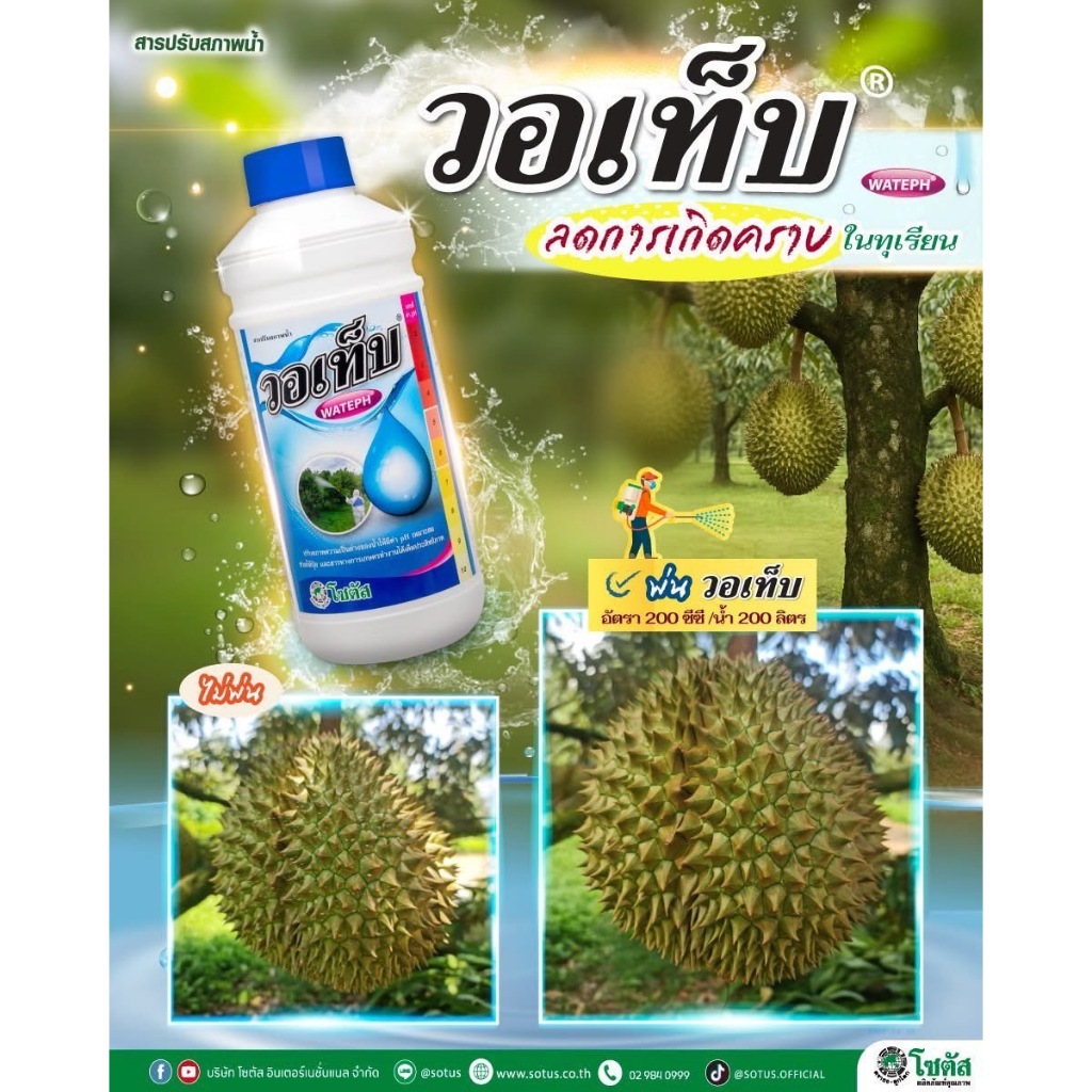 วอเท็บ โซตัส ขนาด 1ลิตร สารปรับสภาพน้ำ เหมาะสมกับการนำไปผสมกับสารป้องกันกำจัดศัตรูพืช ลดการเกิดคราบ ลดความกระด้างของน้ำ