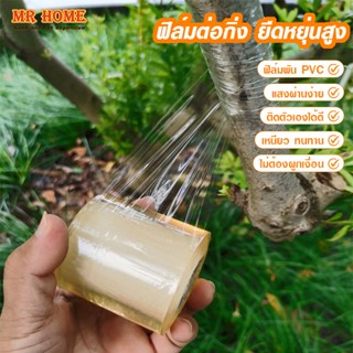 เทปพันกิ่งไม้ 200m เทปพันกิ่งทาบ แลปพลาสติก อุปกรณ์ตอนกิ่ง เ…
