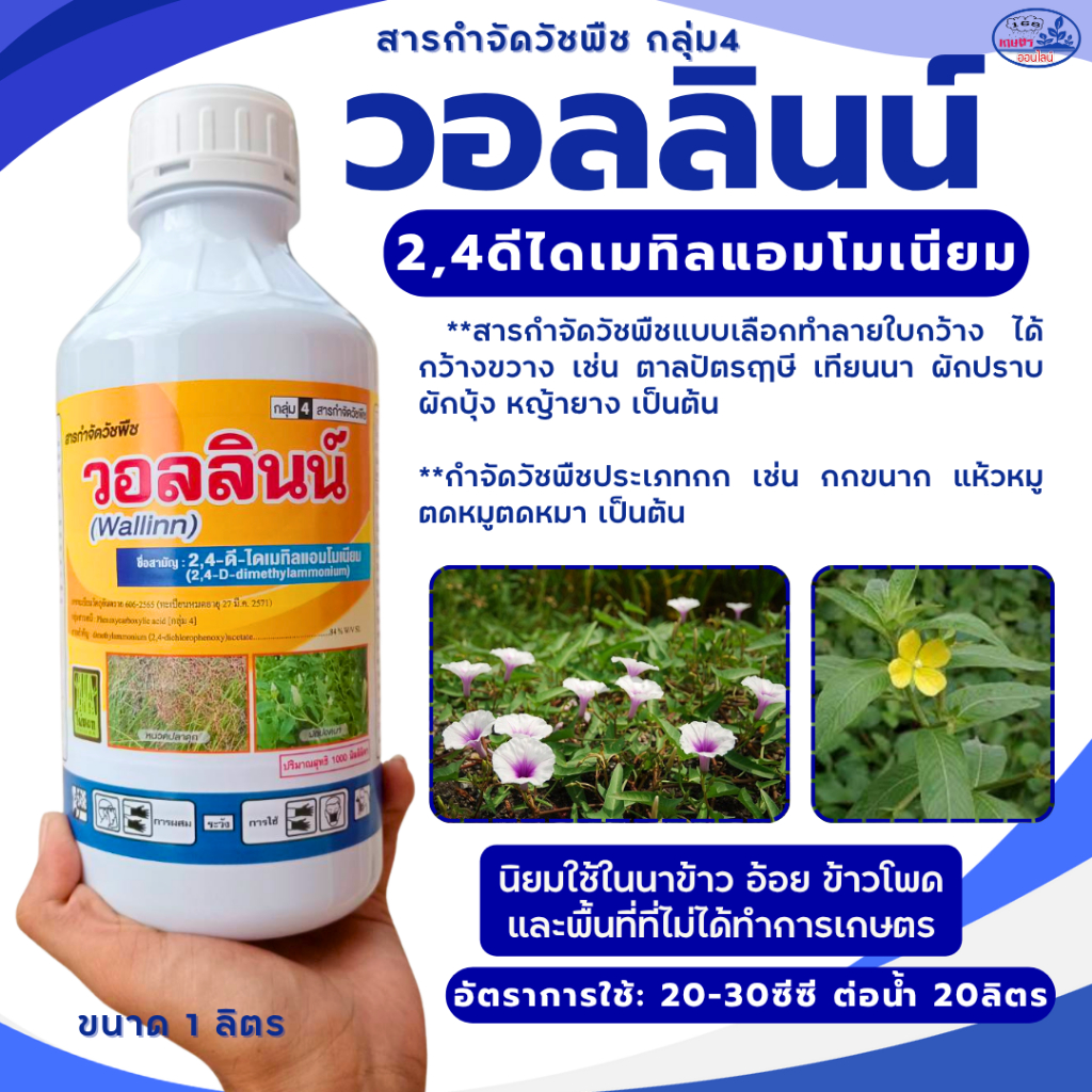 วอลลินน์ หมาน้ำ 2,4D ไดเมทิลแอมโมเนียม บรรจุ 1 ลิตร สำหรับกำจัดวัชพืชใบกว้างและกก ใช้ในไร่อ้อย ข้าว ข้าวโพด ขนาด 1 ลิตร