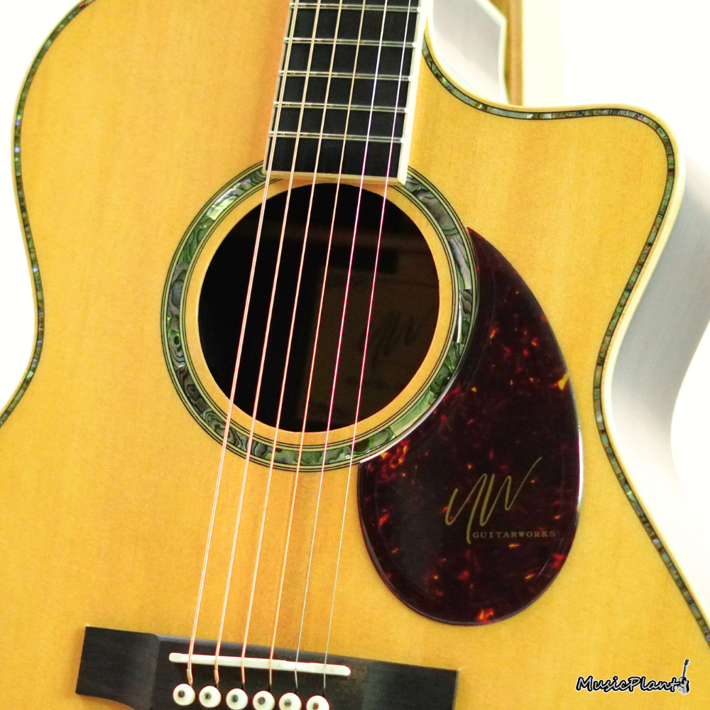 UW ปิ๊กการ์ดกีตาร์แบบนูน Fluffy Guitar Pickguard ราคา ถูกที่สุด ดีลบีเคเค แกลเลอรีภาพที่ 6