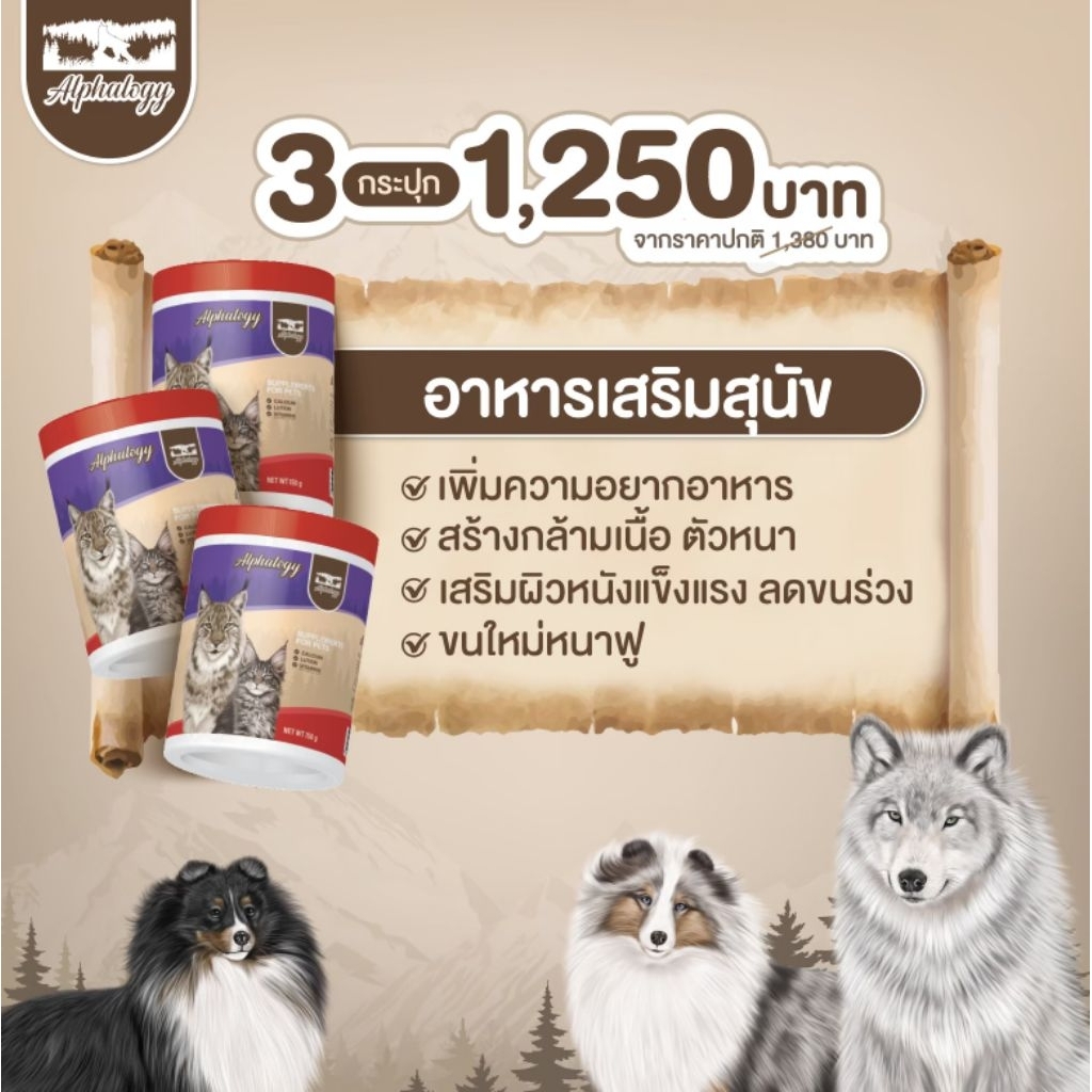 Alphalogy อาหารเสริมสุนัข 3 กระปุก ทำให้เจริญอาหาร ใช้เพิ่มกล้ามเนื้อ ฟื้นฟูผิวหนัง ลดขนร่วง สร้างขนใหม่ฟูหนา