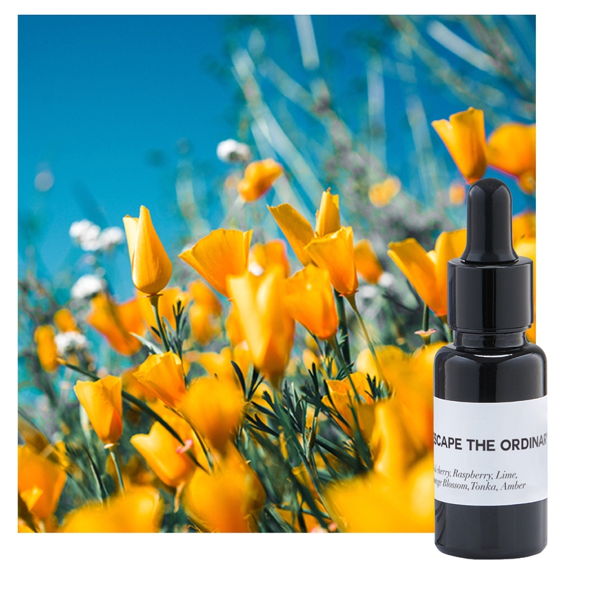 MN formula Essential oil กลิ่น Escape the Ordinary น้ำมันหอมระเหย กลิ่นแห่งโลกในจินตนาการ