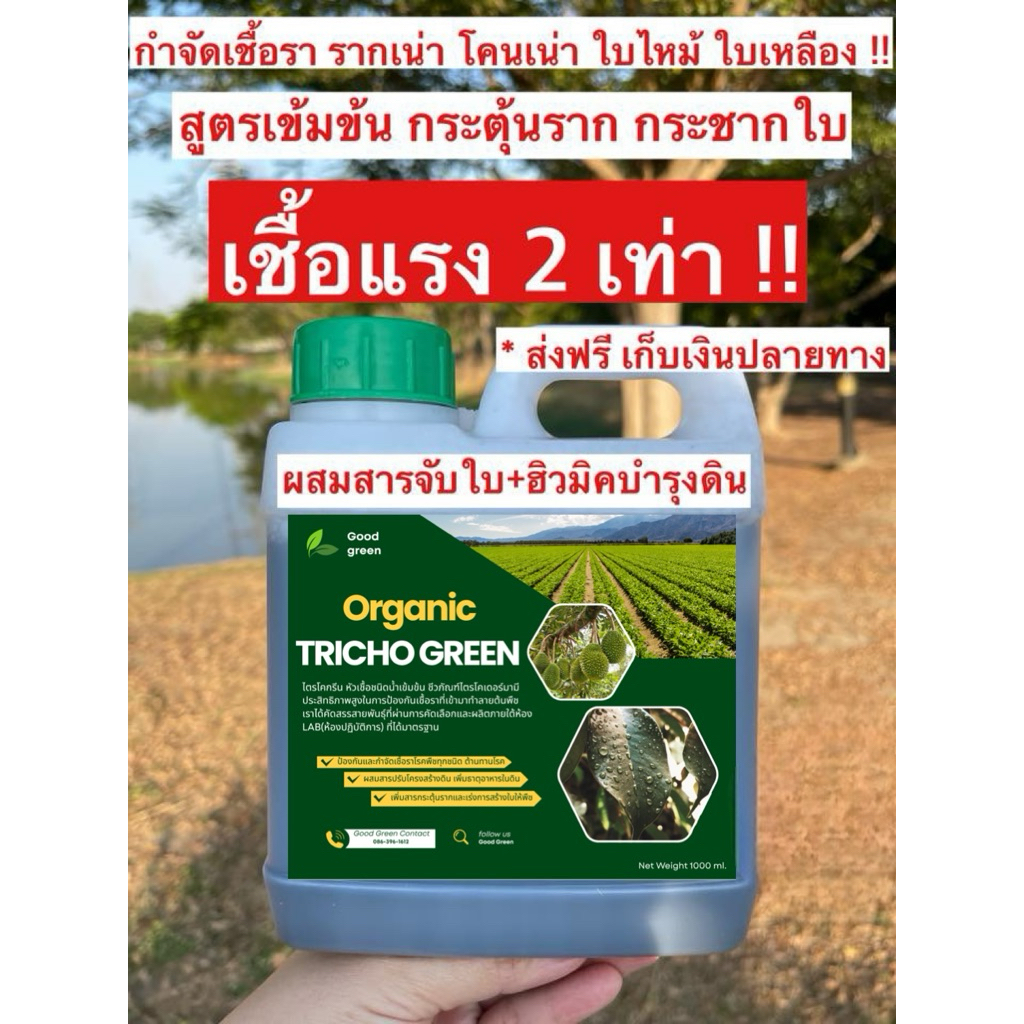 [ใช้โค้ดลดวีดีโอ] กำจัดเชื้อราไตรโครเดอร์มาพลัส