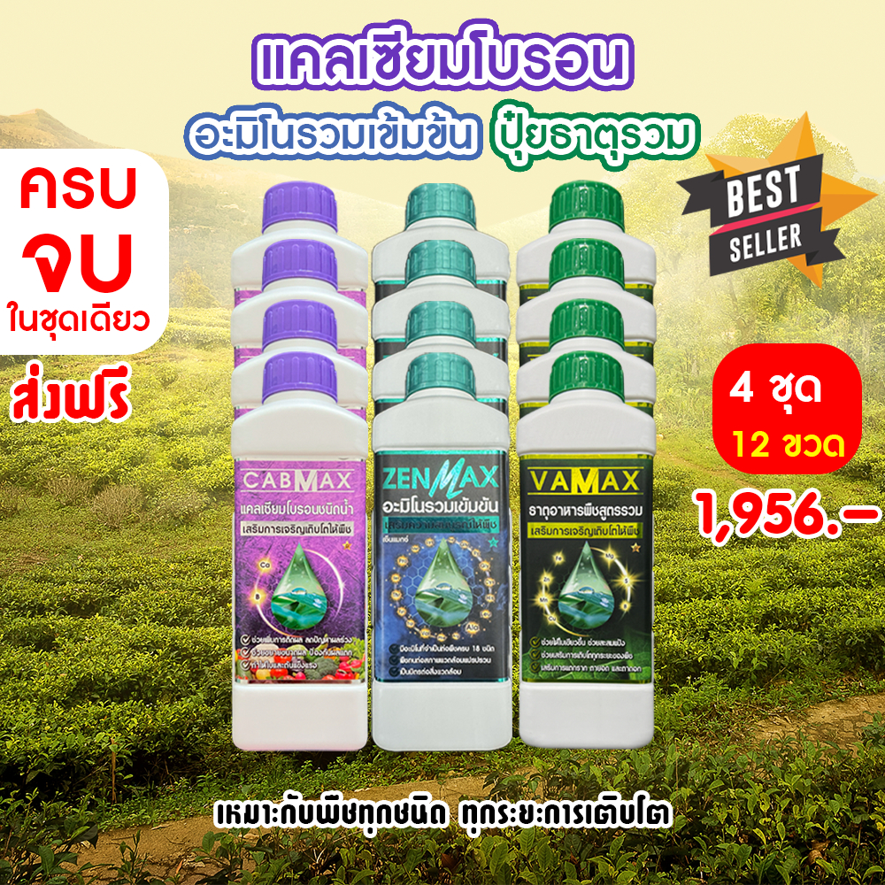 (4ชุด) CABMAX แคลเซียมโบรอนเข้มข้น+VAMAX ธาตุอาหารรวมเข้มข้น+ZENMAX อะมิโนรวมเข้มข้น(Z4+C4+V4+เสื้อ)