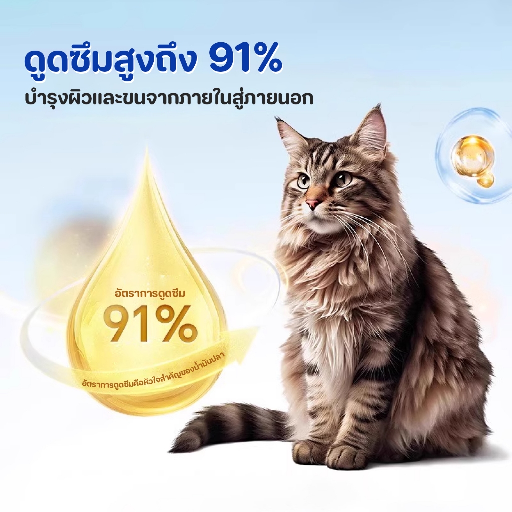 อาหารเสริมน้ำมันปลาสำหรับสัตว์เลี้ยง พรีเมี่ยมน้ำมันปลาสำหรับสัตว์เลี้ยงบำรุงขนผิวหนังและข้อต่อ - รูปที่ 6