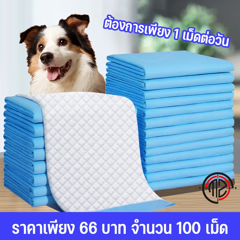 แผ่นรองฉี่สุนัข แผ่นรองฉี่น้องหมา น้องแมว ช่วยฝึกขับถ่ายสุนัขและสัตว์เลี้ยง บ๊อกด็อก และ จิจิโกะ ดูดซับกลิ่น