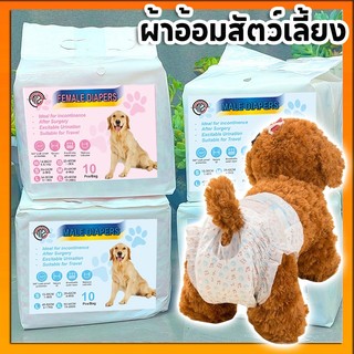 🤝ราคามิตรภาพ🐶 ผ้าอ้อมสำหรับสัตว์เลี้ยง มีหลายไซส์ กางเกงอนามัยสุนัข กางเกงผ้าอ้อมสุนัขตัวเมีย กางเกงอนามัย PET HOMIE