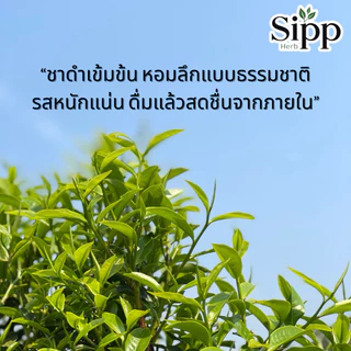 🍃 ชาอัสสัม ดอยปู่หมื่น 500g | Assam Tea | ทำมือแท้ ปลอดสาร | ชาดำ หอมเข้มจากยอดดอย | ออร์แกนิกจากแหล่งปลูกธรรมชาติ