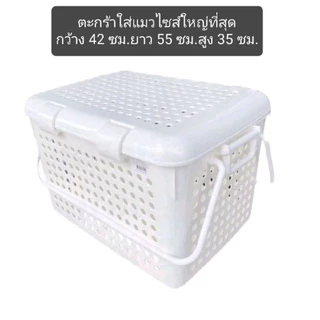 ตะกร้าใส่แมวไซส์ใหญ่ที่สุด XXL ขนาด 42x55x35 ซม (วัดภายนอกรวมฝาและด้ามจับ)พลาสติกหนาแข็งแรง