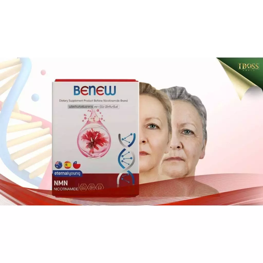 BeNew NMN Nicotinamide วิตามินต้านแก่ thumbnail 4