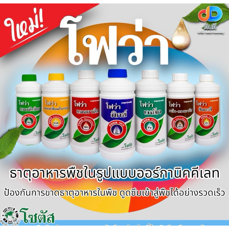โฟว่า เหล็ก ขนาด 1 ลิตร ตราโซตัส ช่วยสร้างคลอโรฟิลล์ รูปที่ 7