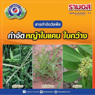 รามอส 4 ลิตร กลูโฟซิเนต-แอมโมเนียม