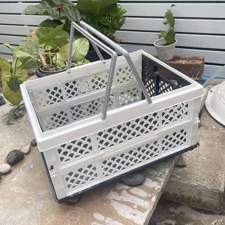 Okay Plas ตะกร้าพับได้