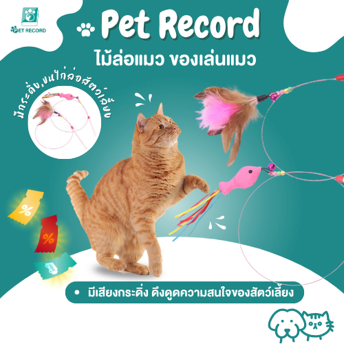 Pet Record ไม้ล่อแมว ของเล่นแมว สุนัข หมา มีเสียงกระดิ่ง ปลา,ขนไก่ ดึงดูดความสนใ