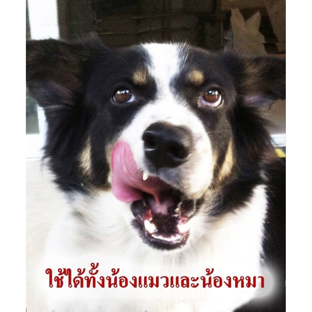 Little Garden ลิตเติ้ล​ การ์เด้นท์​ 130 ขนาดเล็ก - ภาพย่อย 3