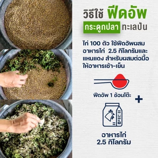 ปลาทะเลและกระดูกปลาป่น ฟีดอัพ สำหรับใช้เสริมอาหารสัตว์ 1 กิโลกรัม