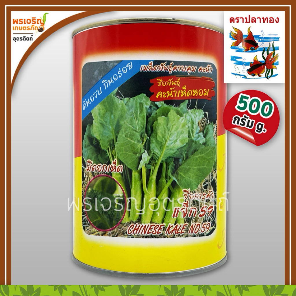 เมล็ดพันธุ์คะน้า คะน้าเห็ดหอม แจ็ก59 3A (500 กรัม) เมล็ดคะน้าหวาน เมล็ดคะน้าต้นอวบ เมล็ดพันธุ์ผักสวนครัว ตราสามเอ