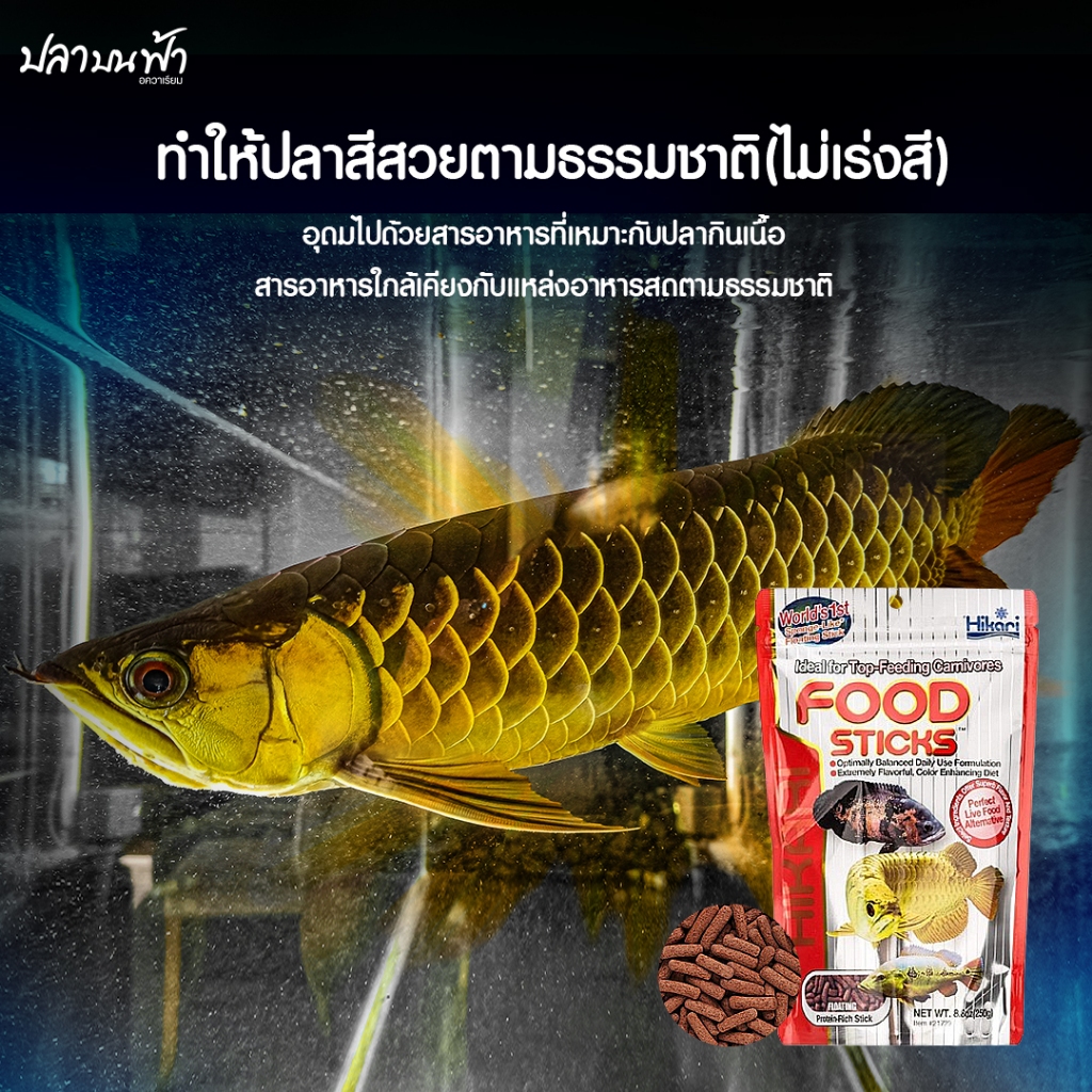 Hikari Tropical Food Sticks ฮิคาริ อาหารปลา มังกร ปลาอะโรวาน่า ปลานกินเนื้อ ขนาด 57g , 250g ชนิดเม็ดลอย รูปที่ 5