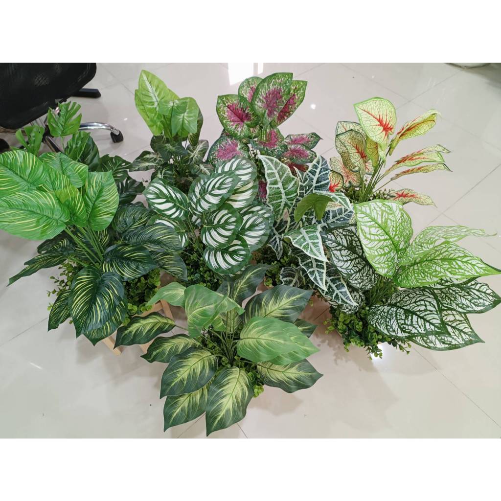 ต้นไม้มงคลกระถางลูกคลื่น+ตกแต่งยูคาใบเขียว" ใหม่ " ขนาด 55-60 ซม.  #ต้นไม้ปลอมต้นไม้ประดิษฐ์ ตกแต่งบ้าน Leeartplants