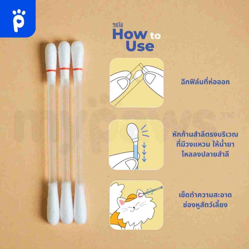 รูปภาพ 6