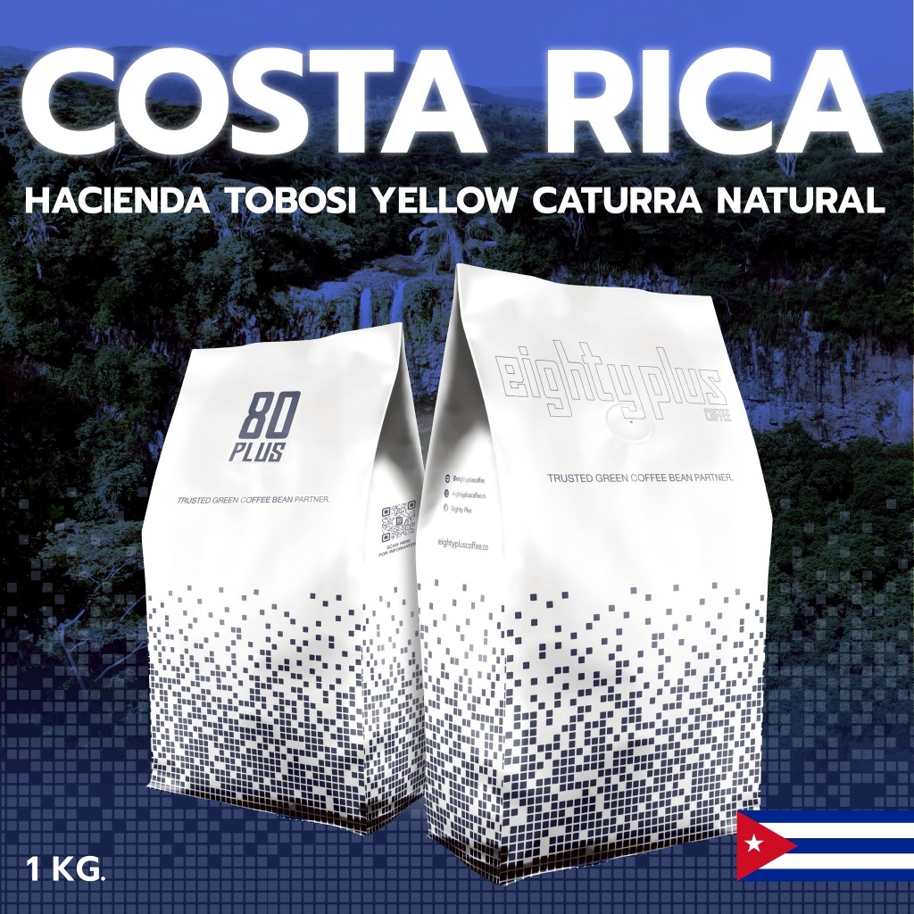 Costa Rica Hacienda Tobosi Yellow Caturra Natural | สารกาแฟ 80+ Coffee