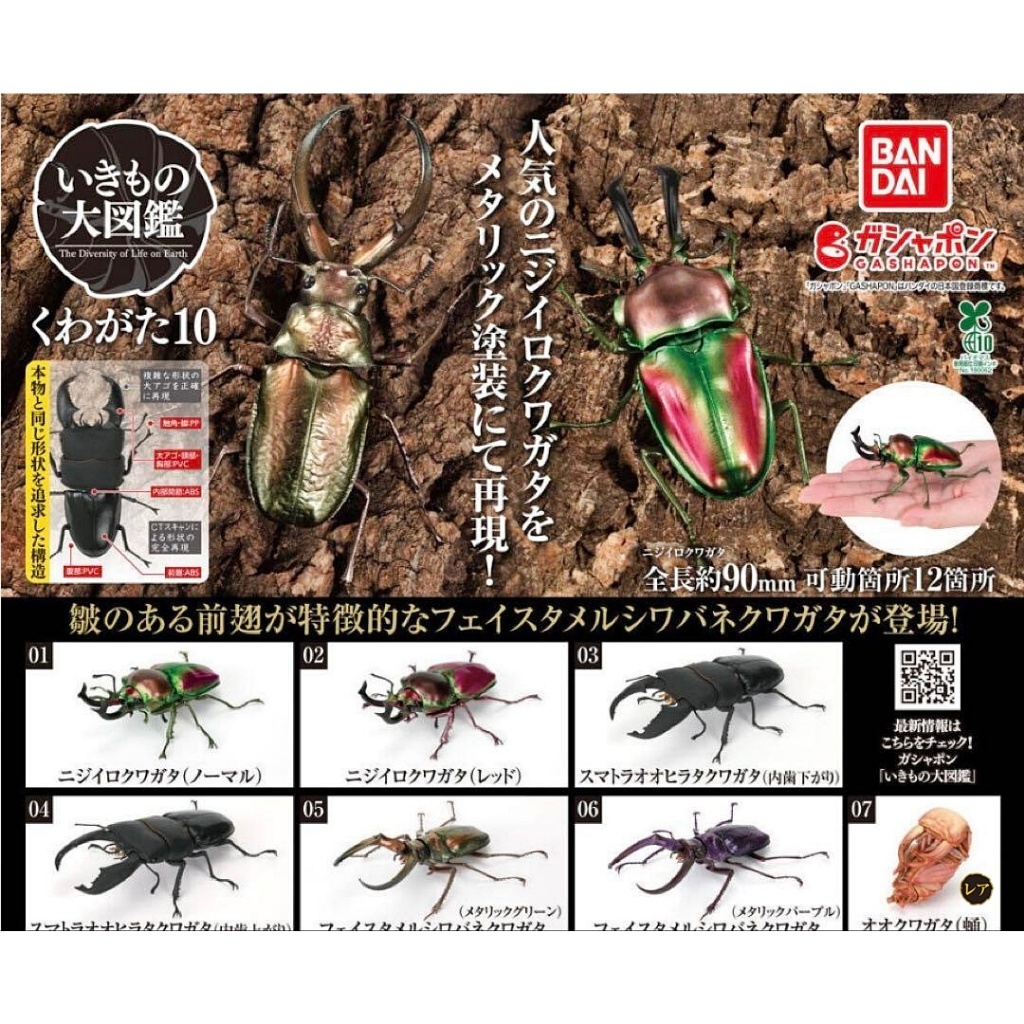 (เพิ่ม5แบบพร้อมส่ง) กาชาปองด้วงคีม Gashapon Bandai Kuwagata Stag Beetle Action Vol.10 โมเดลสัตว์