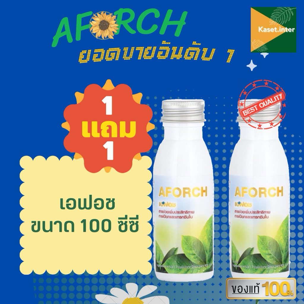 1แถม1 เอฟอช 100cc สารจับใบชนิดพิเศษคุณภาพสูงใช้ได้กับทุกพืช พืชสวนพืชไร่นาข้าว 100ml เอฟอชถูก เอฟอชเล็ก