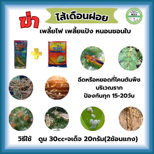 สารกำจัด ฆ่า ไส้เดือนฝอย รากปม รากขอด รากกุด กำจัดเพลี้ยไฟ หนอนชอนใบ เพลี้ยแป้ง ปลวก ไรแดง ไรขาว ได้น้ำ 100 ลิตร