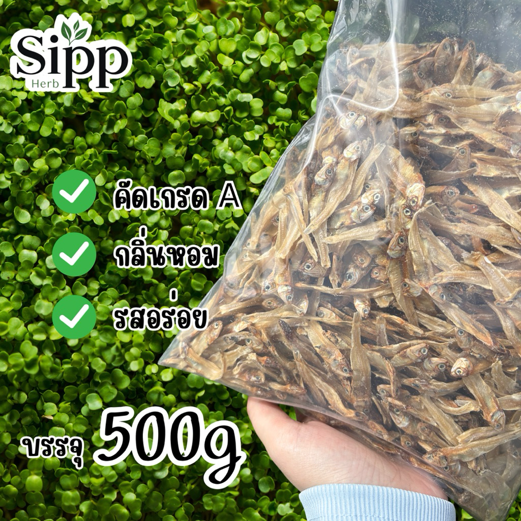 ปลาซิวแก้ว (ทะเล) คัดเกรดA ตรงปก 100% | 500กรัม ไม่ปรุงรส มีเค็มธรรมชาติของปลาเล็กน้อย ตากแห้งอย่างดี