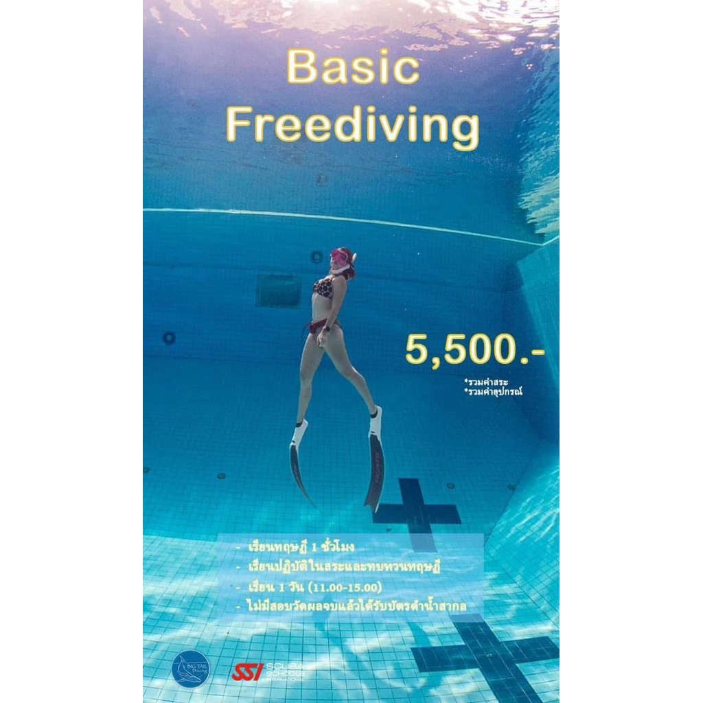 SSI Basic Freediver เบสิคฟรีไดฟ์เวอร์