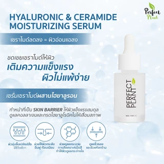 DR.NAME X Perfect Plant 8D HYA+Ceramide Moisturizer ไฮยา มอยส์เจอไรเซอร์ ผิวชุ่มชื้น บำรุงผิว 20 ML