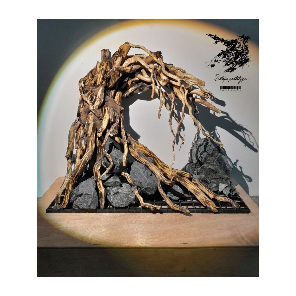 Layout ตู้ปลา, เลย์เอาท์ตู้ไม้น้ำ,เลย์เอาท์ตู้ปลาสำเร็จรูป 14 นิ้ว