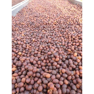 กาแฟหวานหอมสับปะรด เมล็ดกาแฟคั่วอ่อน ร่มฟ้าผาหม่น Single Origin Natural Anaerobic อเมริกาโน่เย็น | Jiddy Roasters