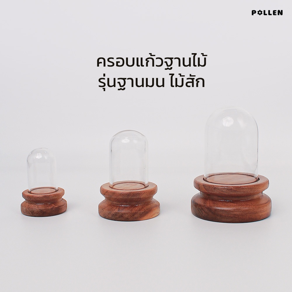 Pollen_collection ครอบแก้วฐานไม้ รุ่นฐานมน ไม้สัก