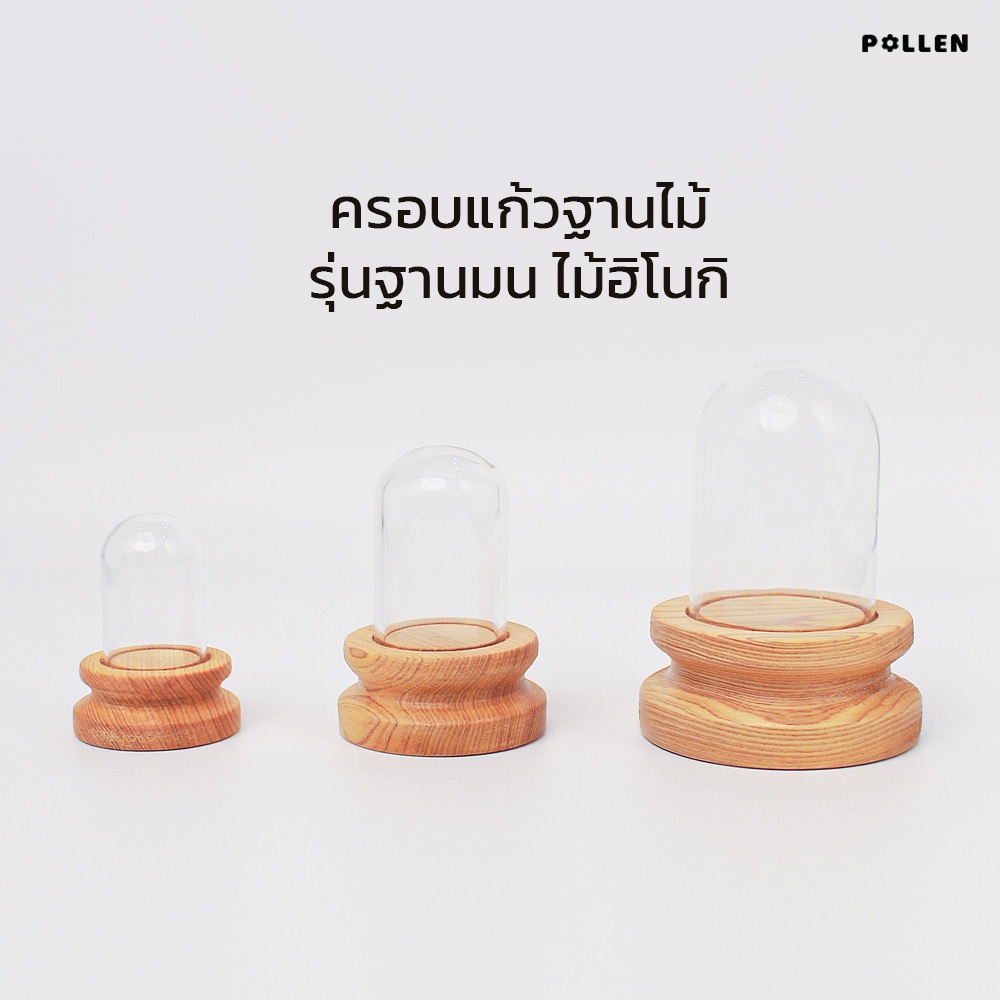 Pollen_collection ครอบแก้วฐานไม้ รุ่นฐานมน ไม้ฮิโนกิ