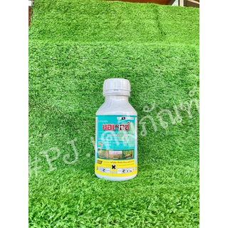 มอเรตซ์ #อะนิโลฟอส30% สารกำจัดหญ้าดอกขาว หญ้าข้าวนก หญ้านกสีชมพู ผักปอดนา กกขนาก