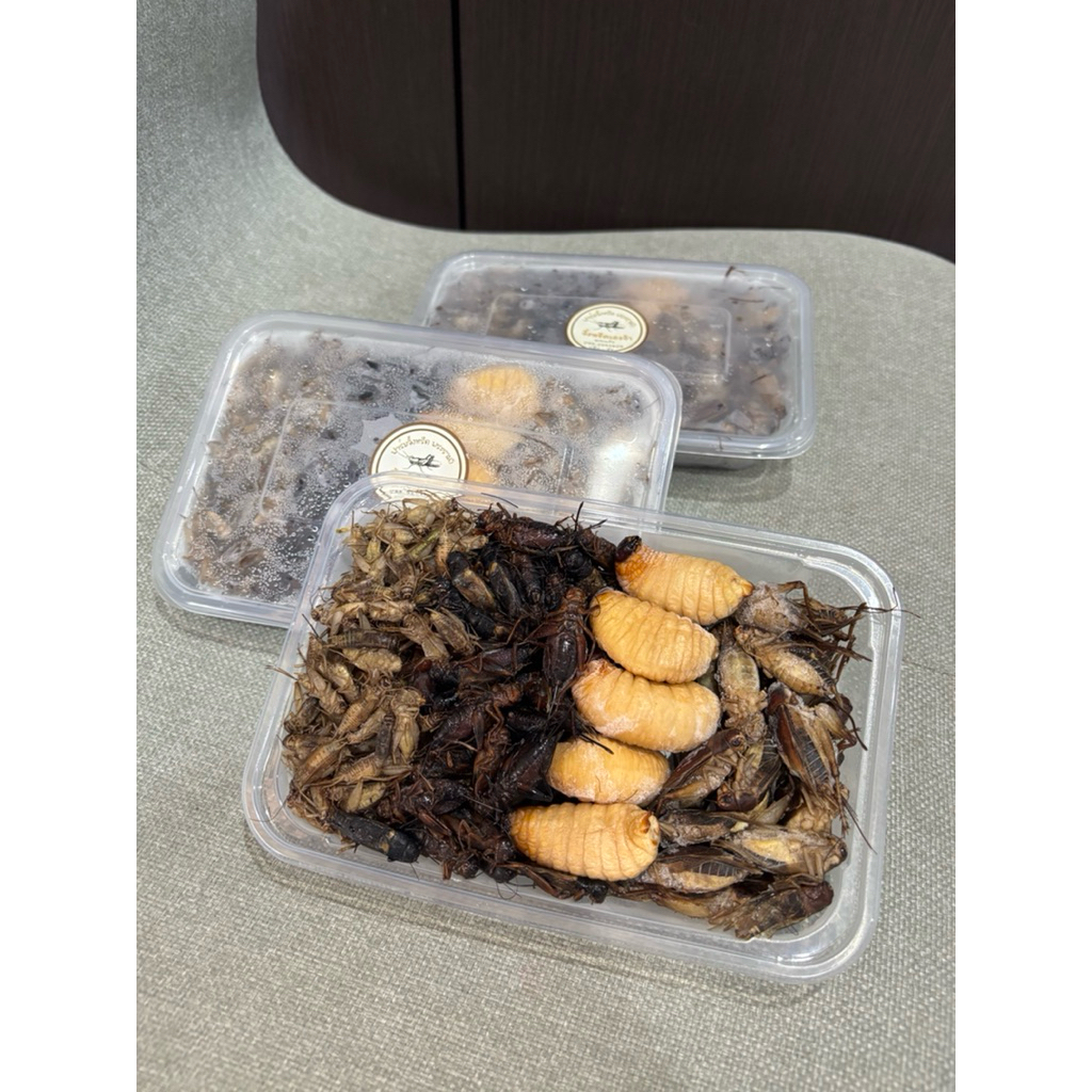 รวมแมลง 4 ชนิด ไม่ปรุงรส เหมาะสำหรับสัตว์เลี้ยงฝึกทาน